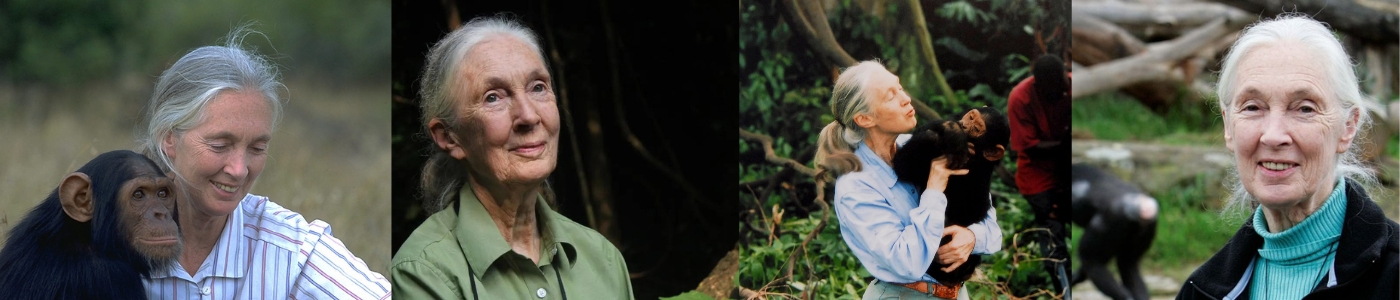 An Evening with Dr Jane Goodall Tickets