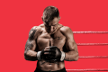 UFC