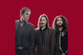 The Whitlams