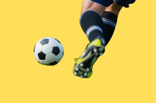 Wellington Phoenix