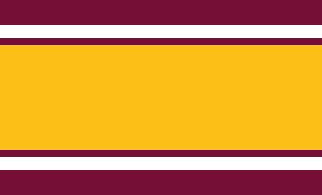 Brisbane Broncos