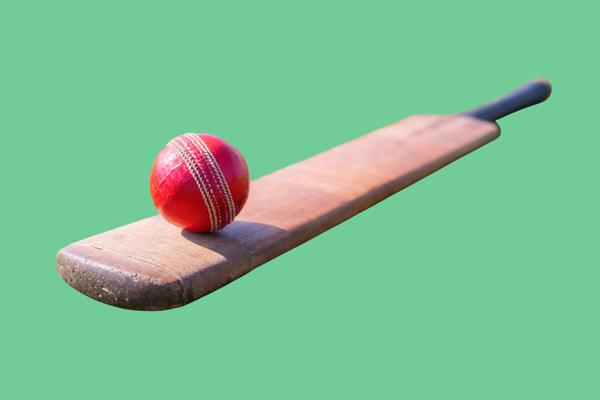 Cricket