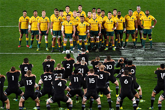 Bledisloe Cup Tickets