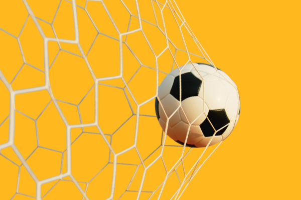 Socceroos Fifa Series