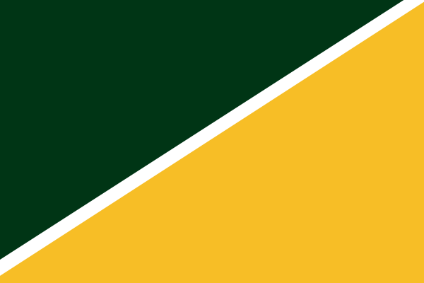 Springboks Rugby