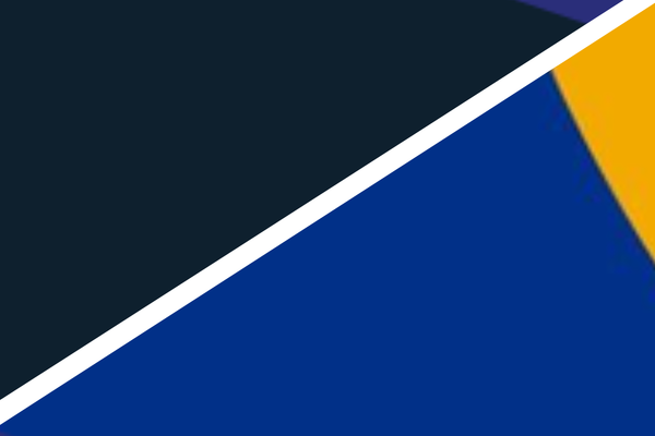 AFL - Round 16 - Carlton v West Coast Eagles