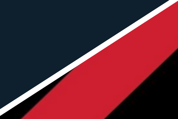 AFL - Round 13 - Carlton v Essendon
